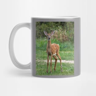 Doe Mug